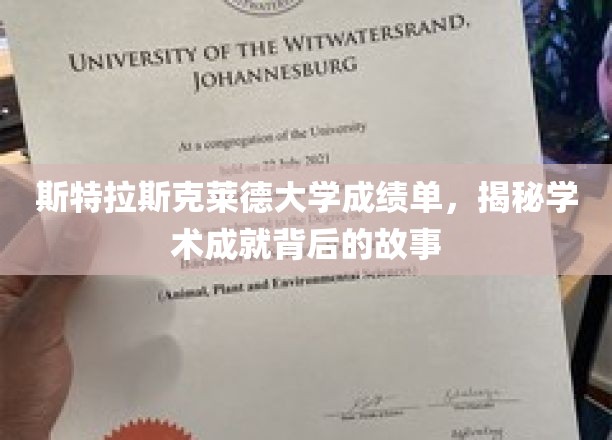 斯特拉斯克莱德大学成绩单，揭秘学术成就背后的故事