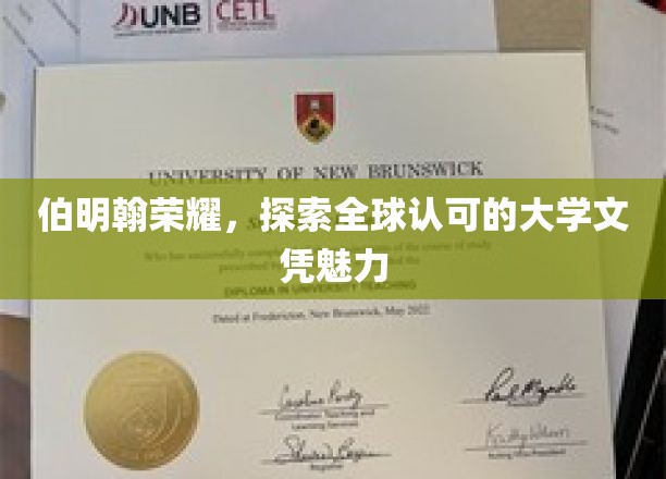 伯明翰辉煌之旅，揭秘世界名校文凭的无限魅力