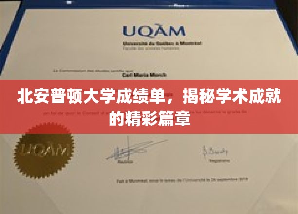 北安普顿大学成绩单，揭秘学术成就的精彩篇章