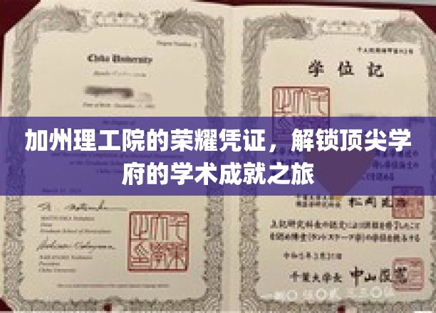 解码加州理工，探寻学术巅峰的荣耀印记