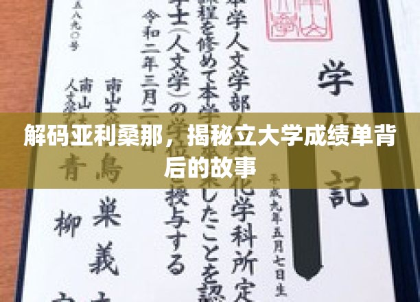 解码亚利桑那，揭秘立大学成绩单背后的故事