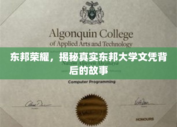 东邦大学文凭之谜，揭开荣耀背后的真实面纱