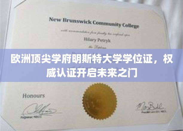 解锁未来，明斯特大学权威学位证，成就非凡人生起点