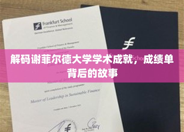 解码谢菲尔德大学学术辉煌，成绩单背后的传奇故事