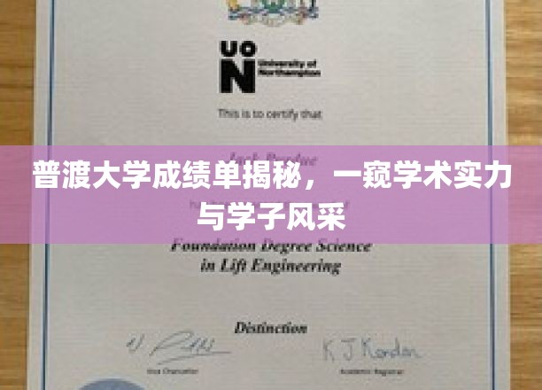 普渡学子风采揭幕，一纸成绩单见证学术荣耀