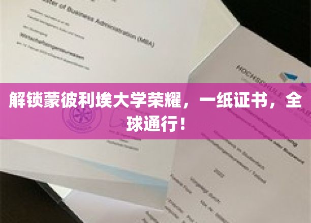 蒙彼利埃大学证书，全球认可，成就非凡人生通行证