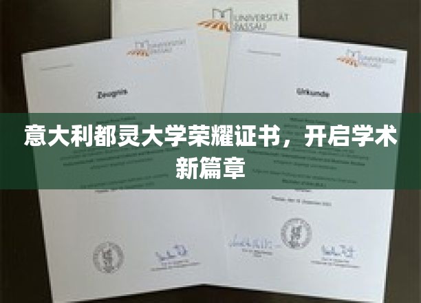 都灵大学荣耀证书亮相，谱写学术辉煌新纪元