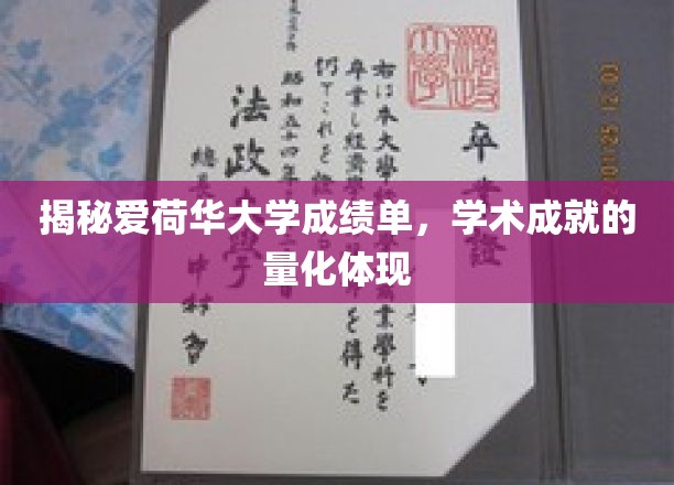 爱荷华大学成绩单大揭秘，学术成就的数字密码解读