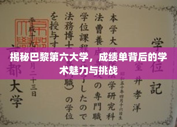 巴黎第六大学揭秘，成绩单背后探寻学术奥秘与挑战
