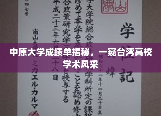 中原大学成绩单揭秘，一窥台湾高校学术风采