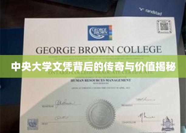 中央大学文凭，揭开百年名校背后的传奇与价值宝藏