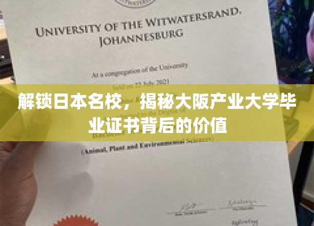 探索大阪产业大学证书，开启国际职场新篇章