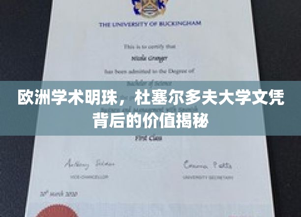 探寻杜塞尔多夫大学文凭，欧洲学术瑰宝的价值密码