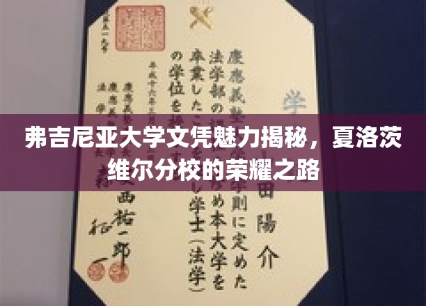 探寻弗吉尼亚大学文凭背后的魅力，夏洛茨维尔分校的辉煌历程