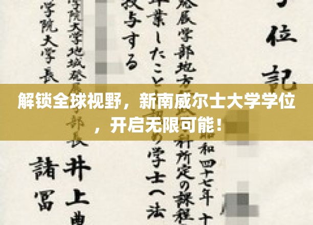 跨越国际边界，新南威尔士大学学位，成就你的世界舞台！