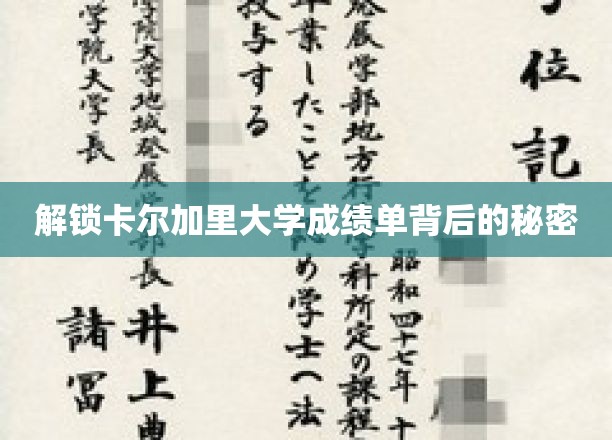 解锁卡尔加里大学成绩单背后的秘密
