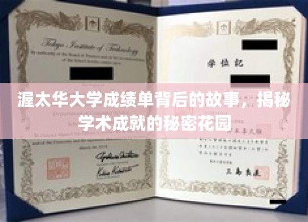 揭开渥太华大学成绩单的神秘面纱，探寻学术卓越的璀璨之地
