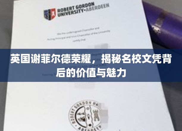 解码谢菲尔德荣耀，名校文凭的非凡价值与迷人风采