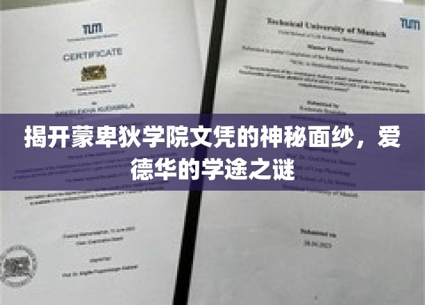 揭秘蒙卑狄学院背后的传奇，爱德华的文凭传奇之旅