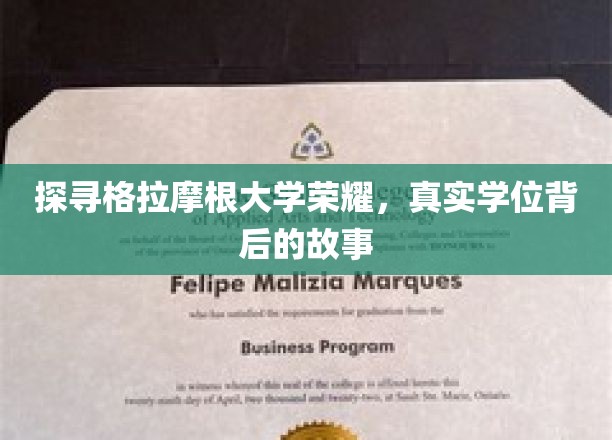 揭开格拉摩根大学学位传奇，揭秘荣耀背后的真实故事