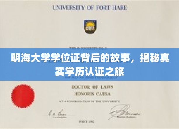 探寻明海大学学位证背后的传奇，一场学历认证的探秘之旅