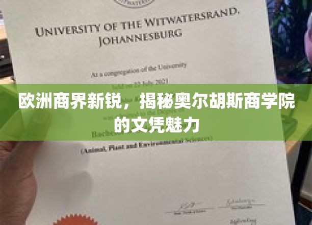 欧陆商界新秀聚焦，奥尔胡斯商学院文凭如何成为职场敲门砖