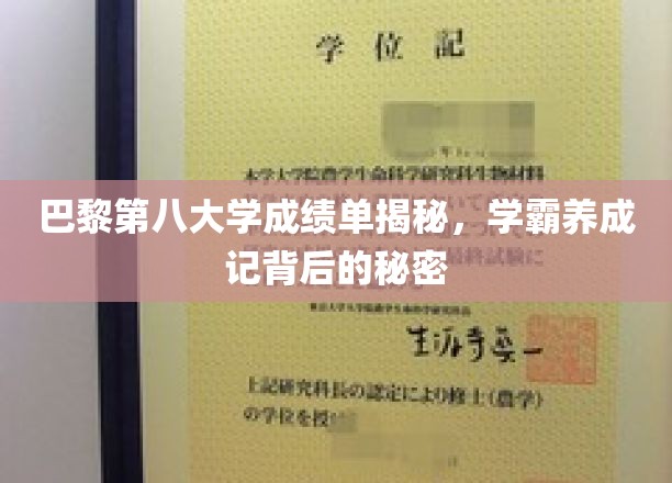 解码巴黎第八大学学霸之路，揭秘成绩单背后的成长秘诀