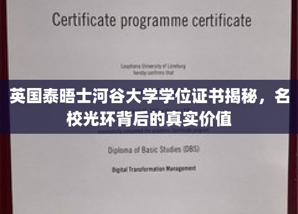 揭秘泰晤士河谷大学学位证书，名校背后的独特价值与奥秘