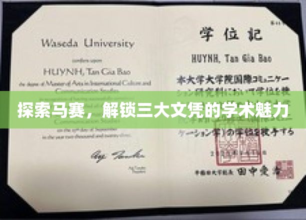 马赛学府探秘，解锁三大文凭背后的学术风采