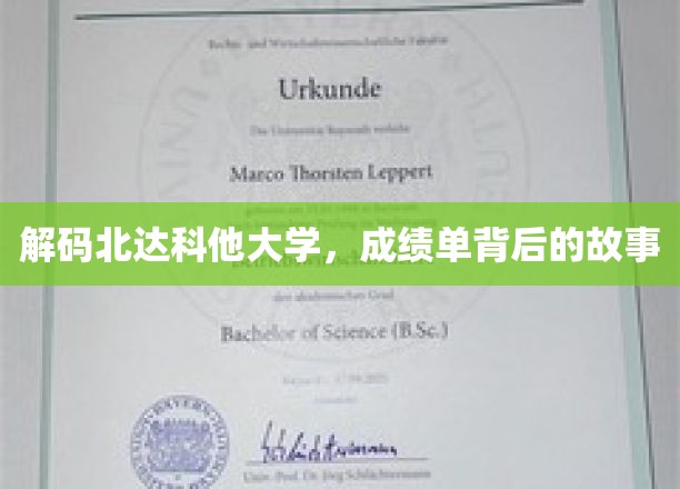 探寻北达科他大学，揭开成绩单背后的精彩篇章