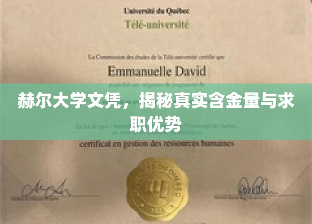 赫尔大学文凭，探秘其内在价值与职场竞争优势