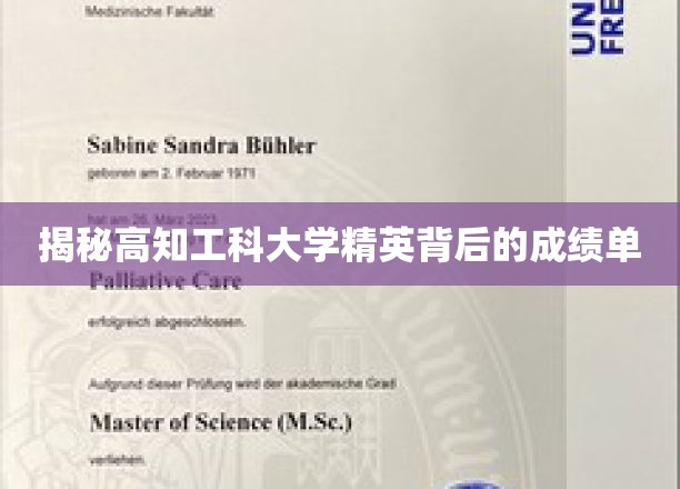解码高知工科精英，揭秘大学学霸们的成绩秘密