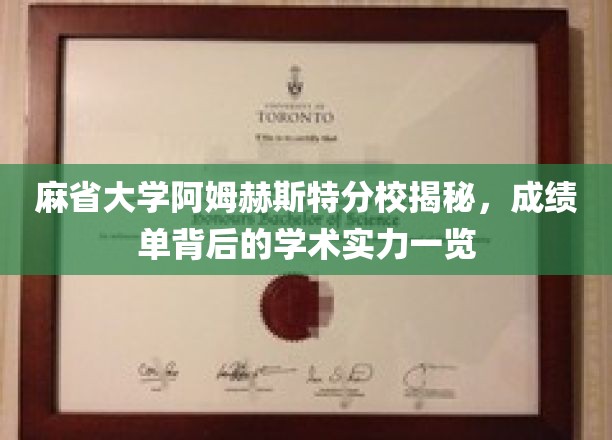 探寻麻省大学阿姆赫斯特分校真实学术底蕴，成绩单背后的实力解析