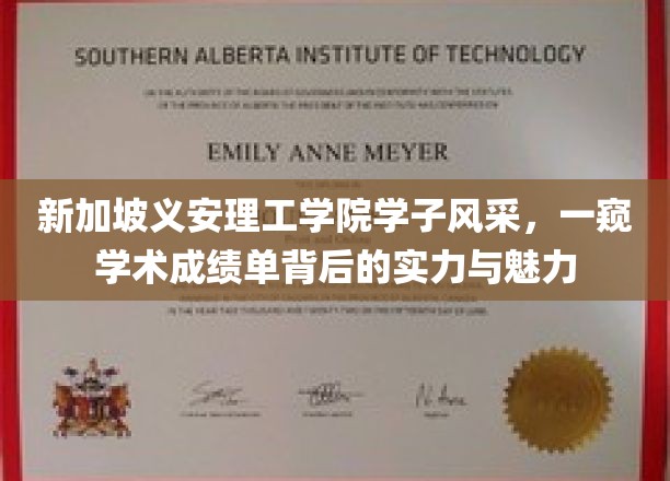 新加坡义安理工学院学子风采，一窥学术成绩单背后的实力与魅力