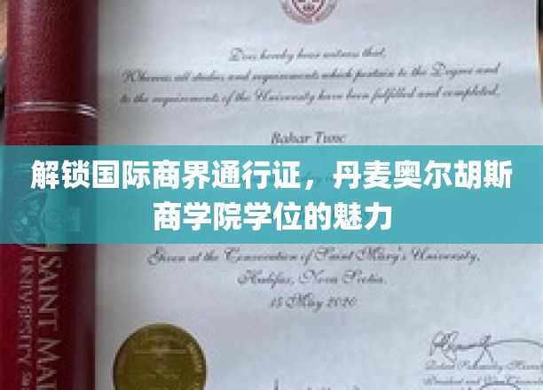 商界精英的摇篮，揭秘丹麦奥尔胡斯商学院学位的全球影响力