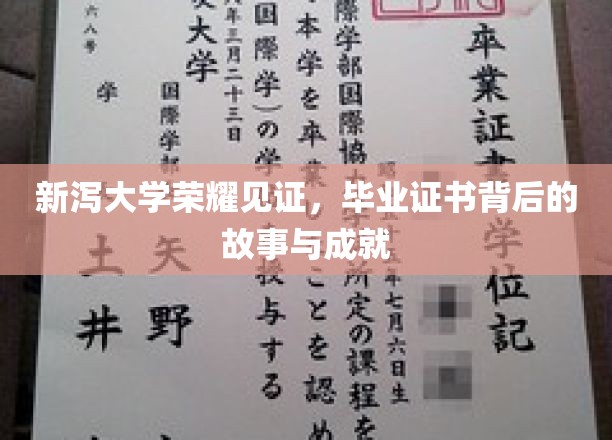 新泻大学荣耀瞬间，毕业证书背后的辉煌历程与感人成就