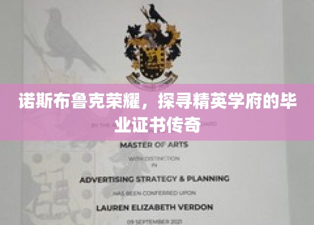诺斯布鲁克荣耀之路，揭秘精英学府毕业证书背后的传奇故事