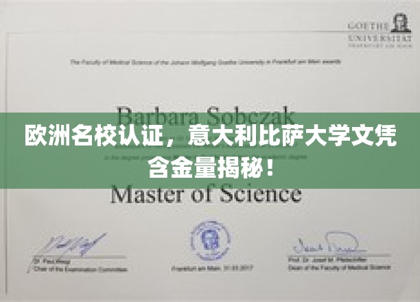 欧洲名校认证，意大利比萨大学文凭含金量深度解析！