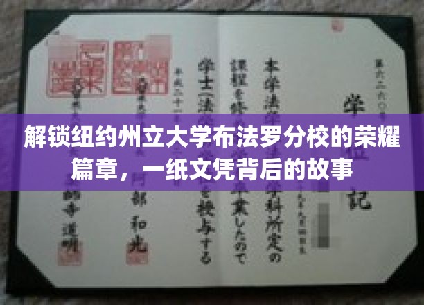 解锁纽约州立大学布法罗分校的荣耀篇章，一纸文凭背后的故事