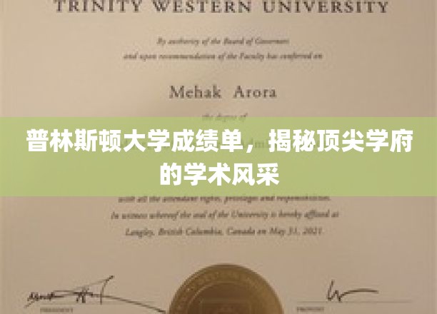 普林斯顿大学成绩单，揭秘顶尖学府的学术风采