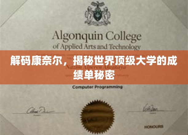 揭开康奈尔传奇，一窥全球顶尖学府的卓越成就之谜