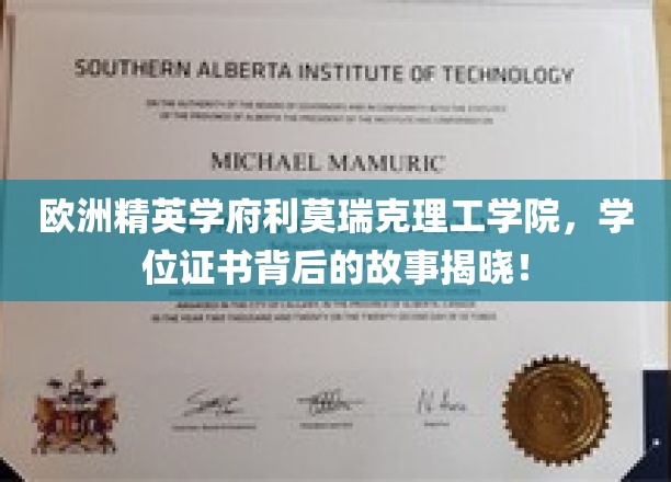 欧洲精英学府利莫瑞克理工学院，学位证书背后的故事揭晓！