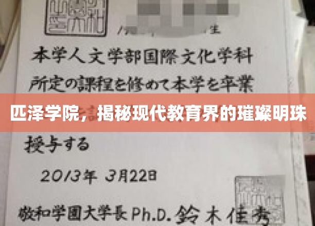 匹泽学院，揭秘现代教育界的璀璨明珠