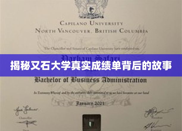 揭秘，又石大学成绩单背后，隐藏的学术真相