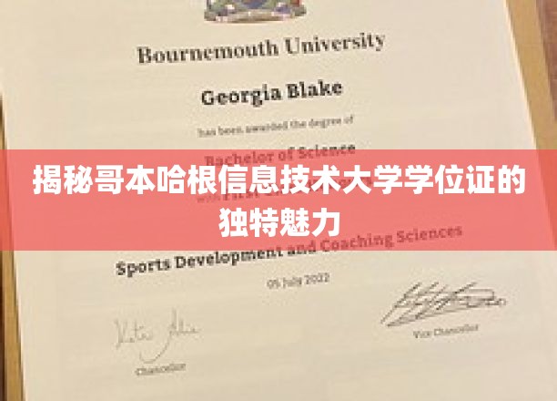 解码哥本哈根信息技术大学学位证的非凡风采