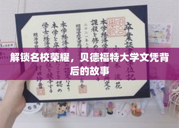 揭秘贝德福特大学，名校光环下的真实文凭传奇