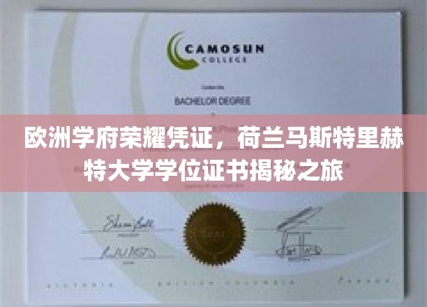 荷兰马斯特里赫特大学荣耀证书，探寻欧洲学府的学术瑰宝