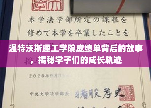解码温特沃斯学子足迹，成绩单背后的成长奥秘
