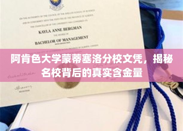 阿肯色大学蒙蒂塞洛分校文凭，揭秘名校背后的真实含金量