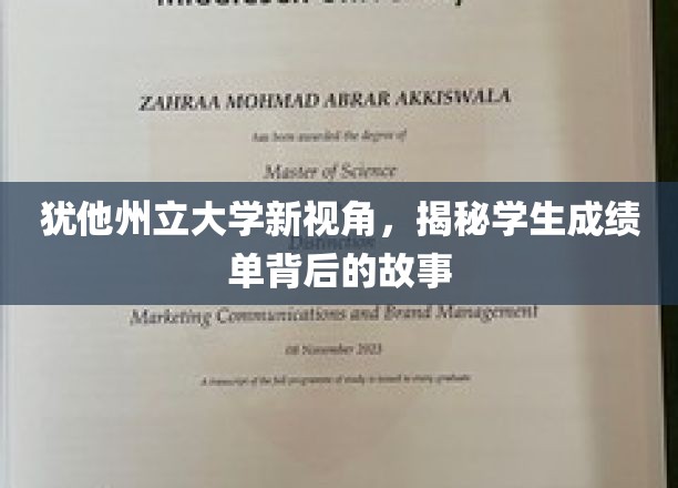 探秘犹他州立，揭开成绩单背后的青春篇章